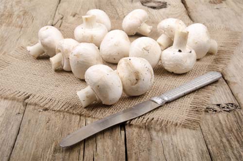 Champignons putzen